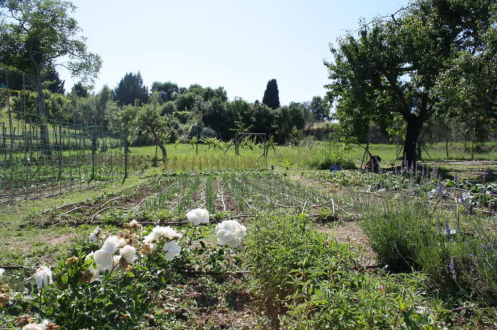 Villa Berni Impruneta Italie